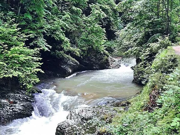 Без названия