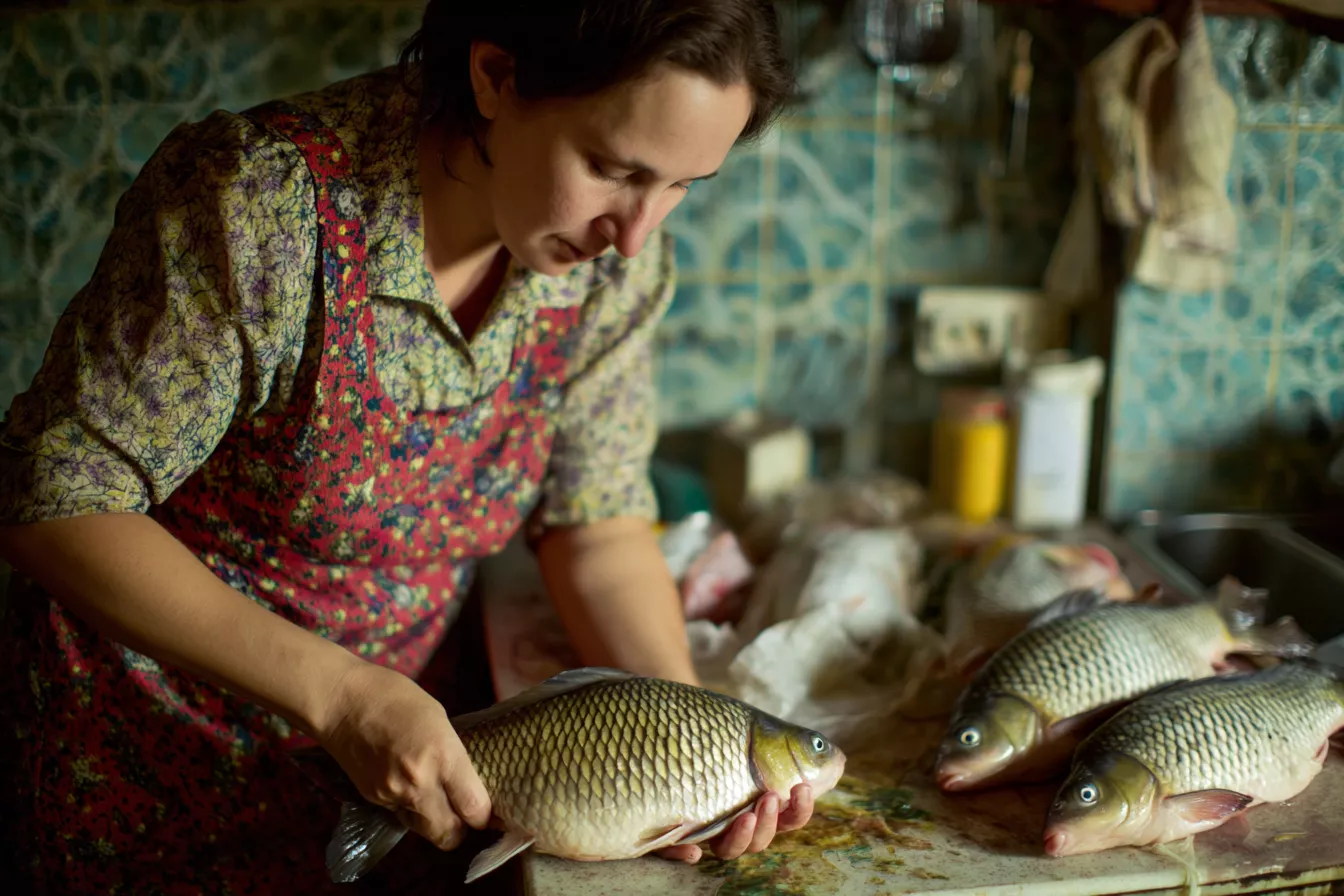 Рыба полезная, но дорогая? Вот как выбрать суперрыбу для мозга и кошелька