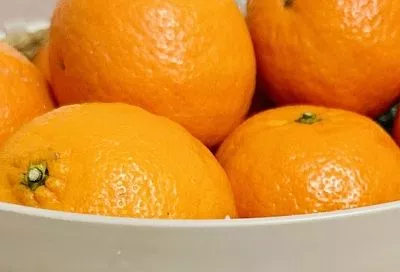 Личинки карантинного насекомого обнаружили в мандаринах из Турции в порту Новороссийска