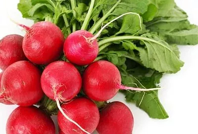 В магазин больше ни ногой: как вырастить крупный и сочный редис на подоконнике