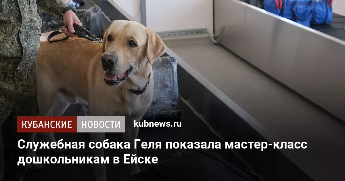 Служебная собака Геля показала мастер-класс дошкольникам в Ейске