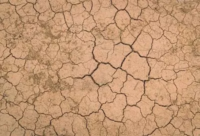 В Минсельхозе призвали ускорить внедрение новых технологий на фоне засухи на Кубани