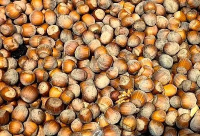 «Да орешки все грызет»: диетолог назвала пять самых полезных орехов