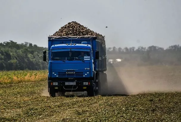Краснодарский край вошел в топ-5 регионов России по спросу на водителей
