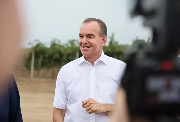 Губернатор Кубани Вениамин Кондратьев осмотрел виноградники и центр энологии в Темрюкском районе