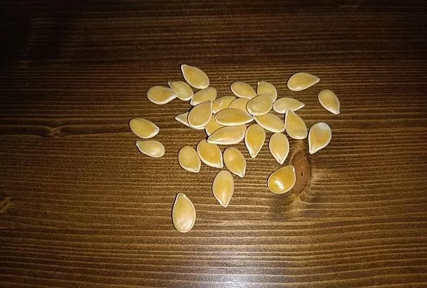 Очень полезная привычка. Вот для чего надо каждый день есть сырые тыквенные семечки