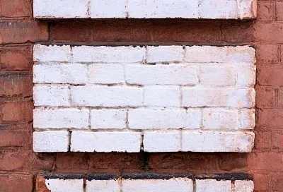 Китайская молодежь превратила строительные кирпичи в «питомцев»