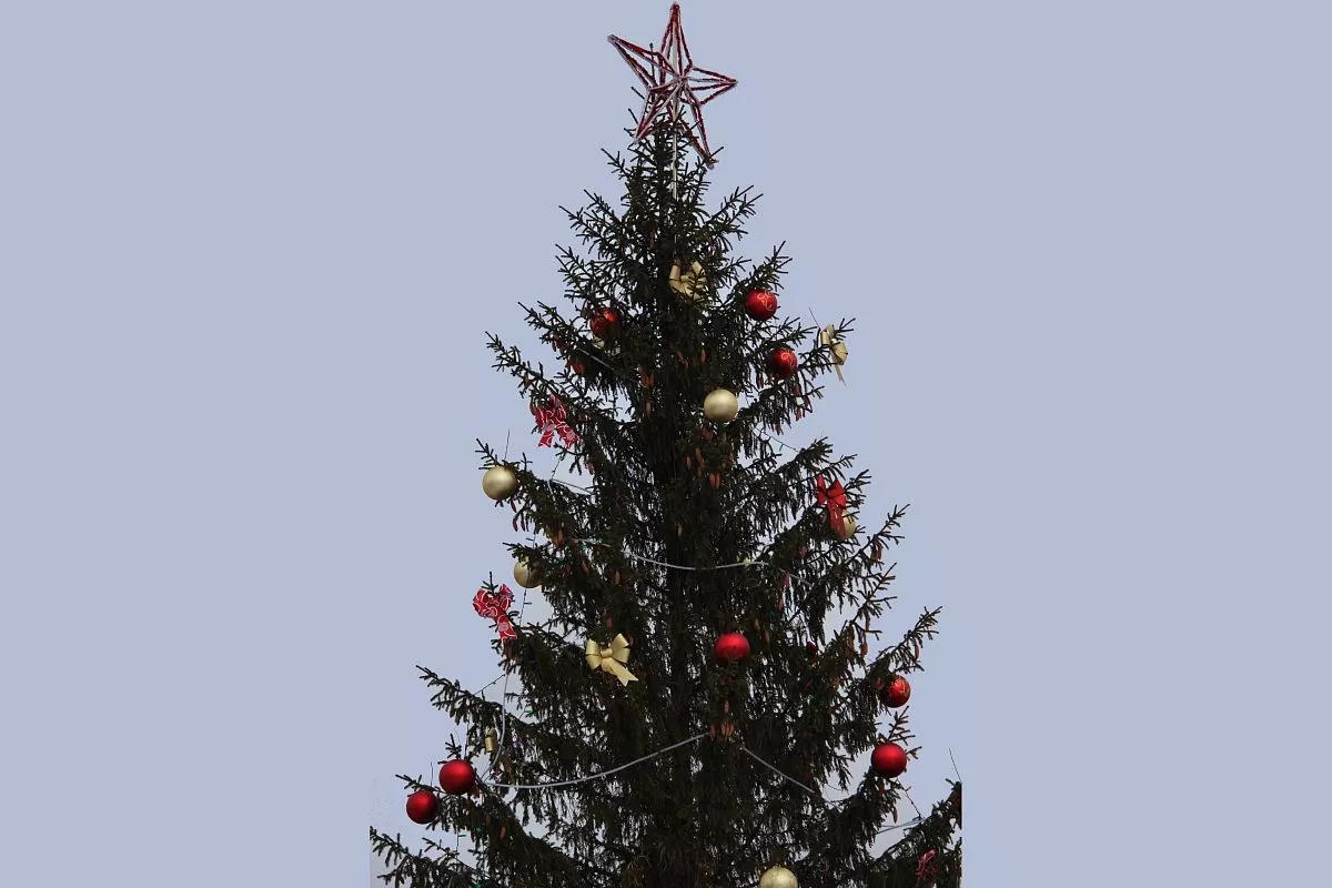 Главная ёлка в станице Каневской Главная ёлка в станице Каневской