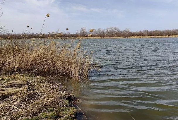 Насадил 2–3 опарыша на крючок так, и весной на него ловится любая рыба: ваш секрет для холодной воды