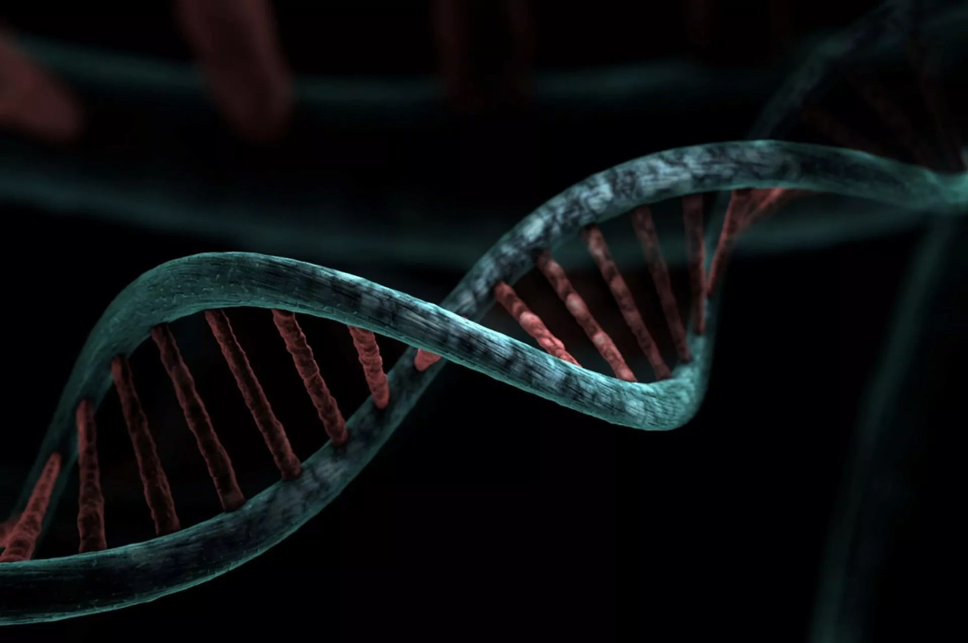 Учёные нашли «ген старения»: как EDA2R влияет на наш биологический возраст