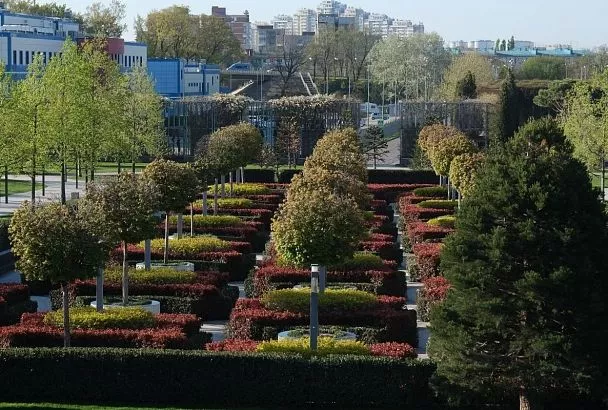 Подготовка к Новому году. Парк Галицкого начали украшать гирляндами