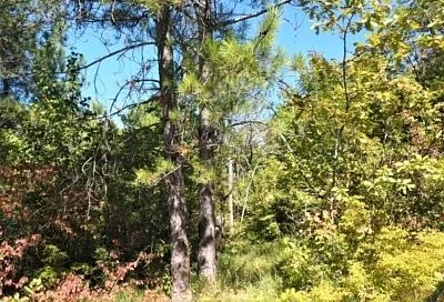 В Краснодарском крае создали девять особо охраняемых природных территорий регионального значения