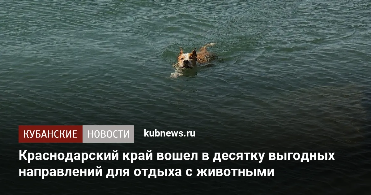 Краснодарский край вошел в десятку выгодных направлений для отдыха с животными
