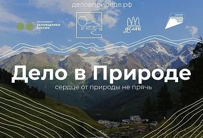 Молодежь Краснодарского края может внести свой вклад в экологию страны