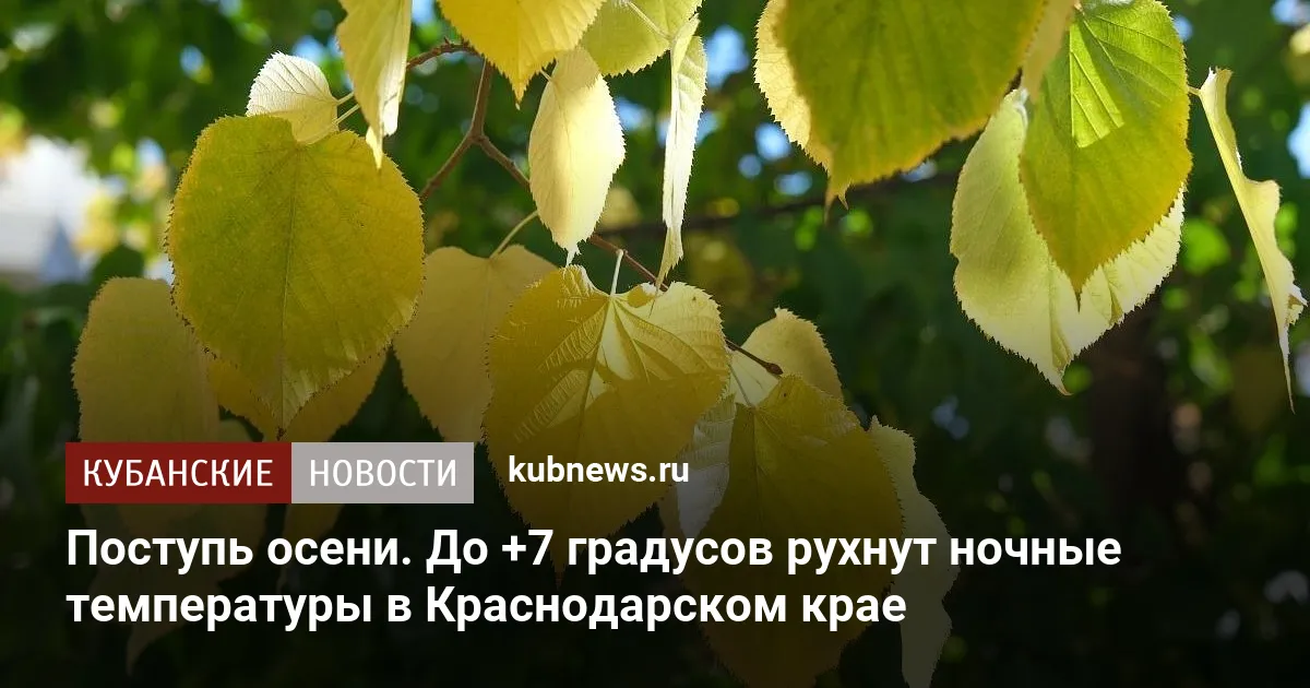 Поступь осени. До +7 градусов рухнут ночные температуры в Краснодарском крае