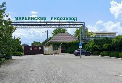 Кубанский производитель рисовой крупы приступил к перенастройке процессов