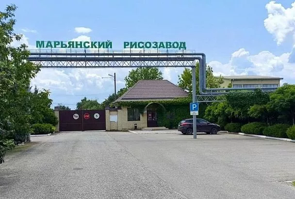 Кубанский производитель рисовой крупы приступил к перенастройке процессов