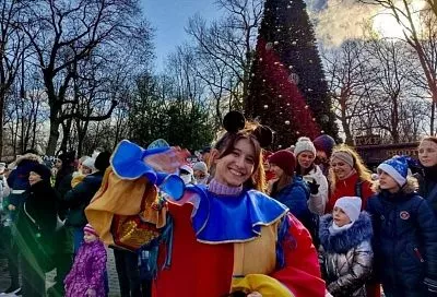 В парках Краснодара откроют новогодние елки