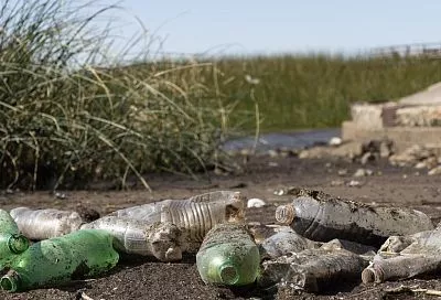 В России с начала года закупили более 13 тысяч контейнеров для отходов и создали более тысячи мусорных площадок