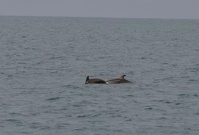 На каких курортах Краснодарского края не успела остыть морская вода 