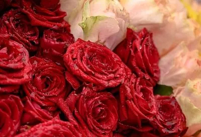 Средняя стоимость букета роз в Краснодаре составила 2 294 рубля