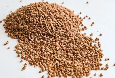 Удобрение из каши: никогда не выбрасываю старую крупу, потому что это лучшая подкормка