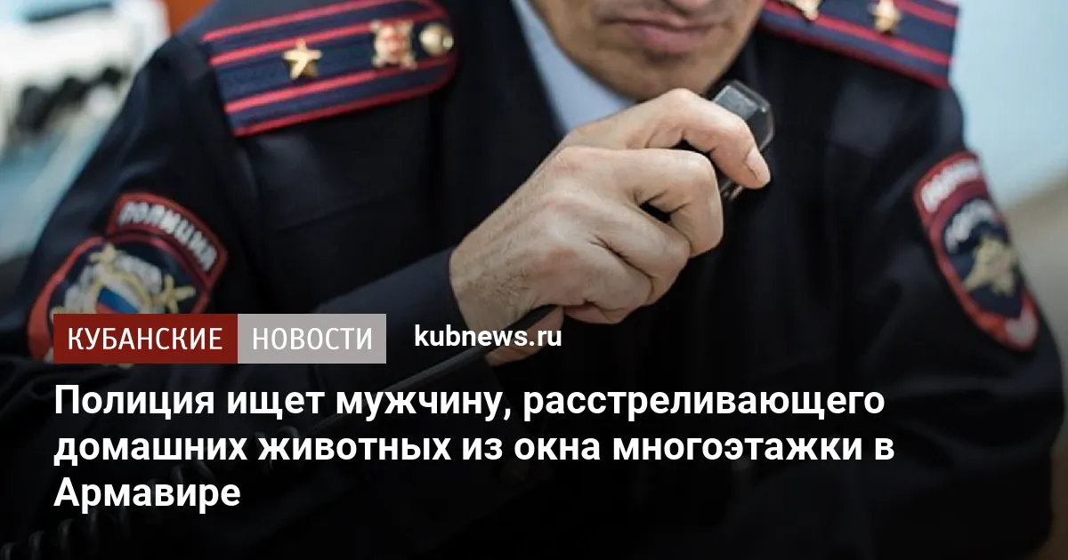 Полиция ищет мужчину, расстреливающего домашних животных из окна многоэтажки в Армавире