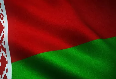 Госдума разрешила белорусам участвовать в российских выборах