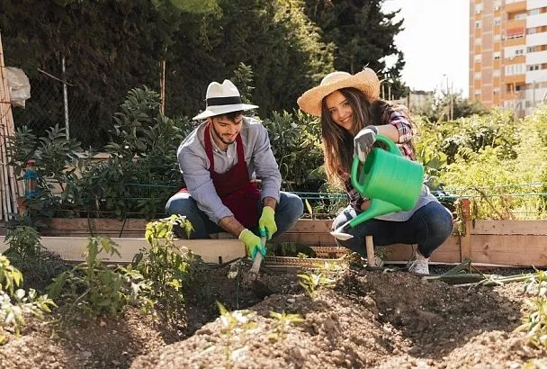 Лунный календарь садовода с 21 по 27 июня: что можно делать в эти дни на грядке, а какие дела под запретом