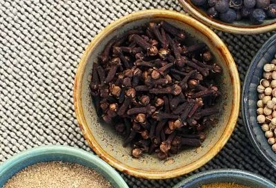 Чистим организм от паразитов гвоздикой заранее – натуральный "щит" для вашего ЖКТ на кухне