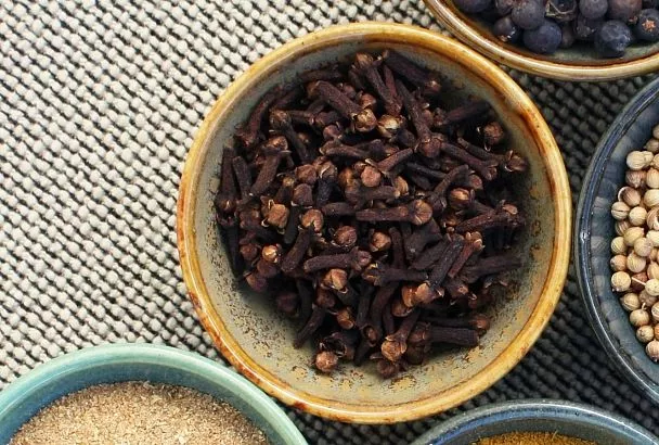 Чистим организм от паразитов гвоздикой заранее – натуральный "щит" для вашего ЖКТ на кухне