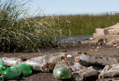 Нейросеть выявила более 20 тысяч нарушений на мусорных площадках в России