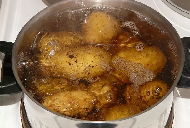 Большая разница: наконец-то узнала, почему картофельное пюре надо делать только из «старых» клубней