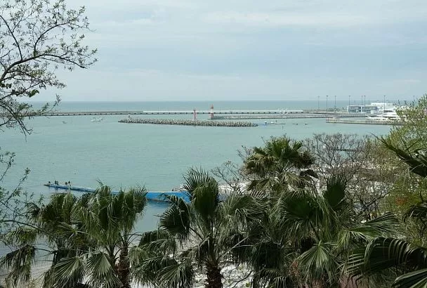 Несколько дронов ВСУ во время атаки на Сочи нарушили воздушное пространство Абхазии