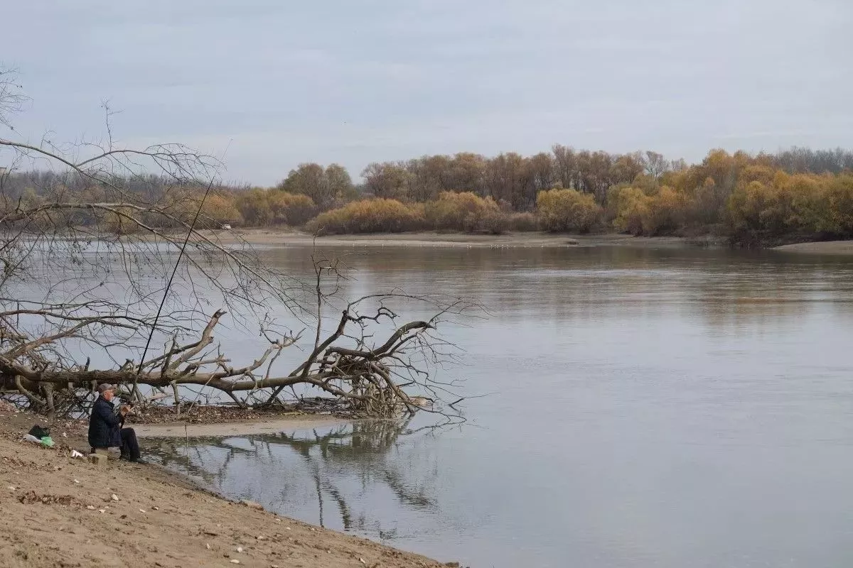 Прокуратура организовала проверку после массовой гибели рыбы в Горячем Ключе