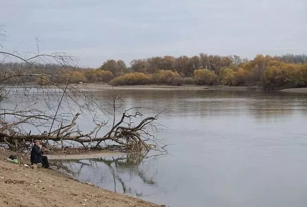Прокуратура организовала проверку после массовой гибели рыбы в Горячем Ключе