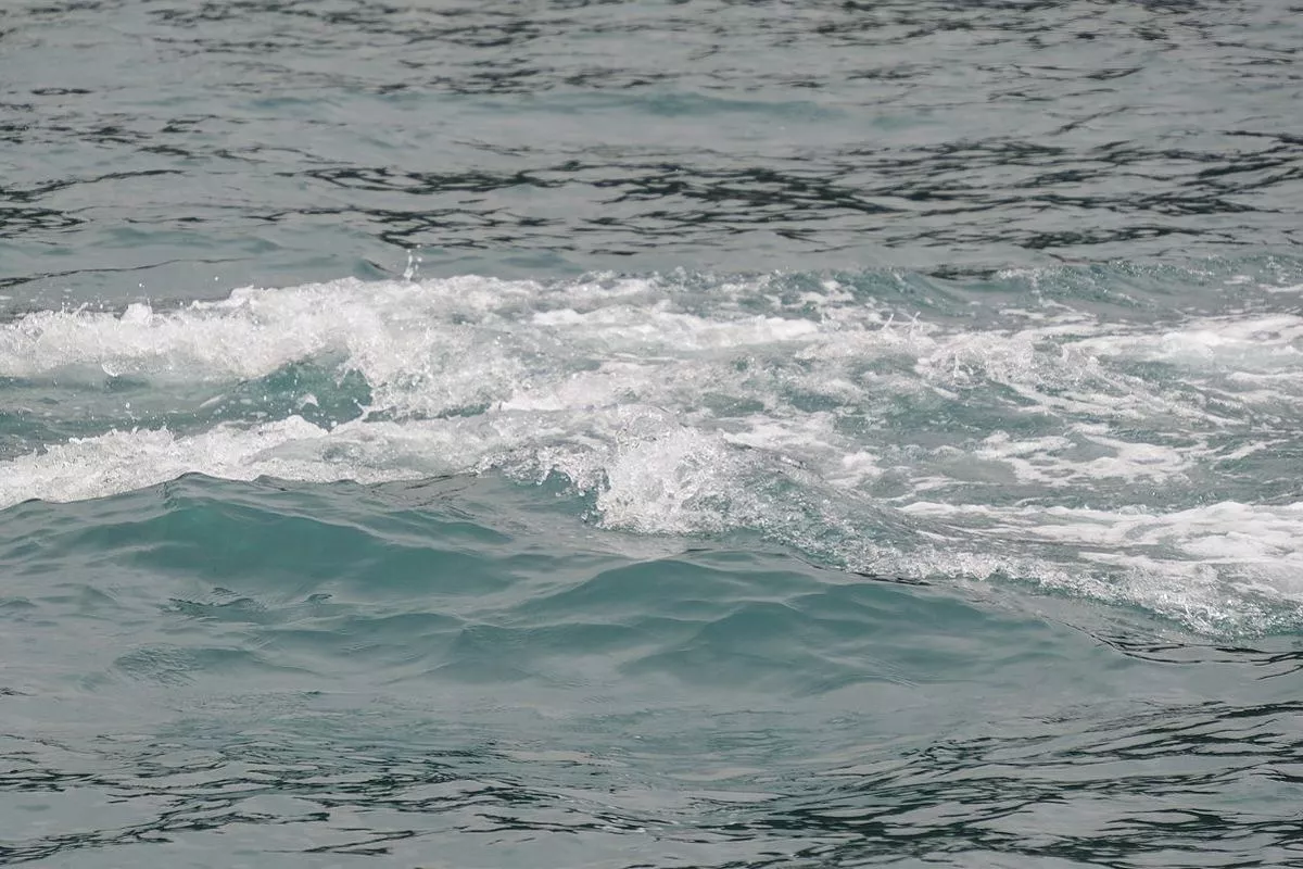 Безэкипажный катер ВСУ ликвидирован за сутки в акватории Черного моря