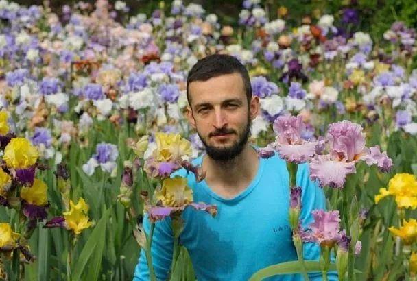 Делите эти цветы летом – будут мощные кусты и буйство цвета: советы от ирисового магната