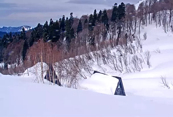 Какая высота снега в горах под Сочи