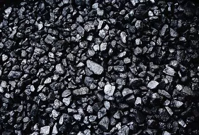 Немного угля не помешает: простой способ защитить комнатные растения от большинства проблем