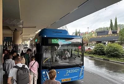 В Сочи запущен круглосуточный автобусный маршрут «Аэропорт – Сочи»