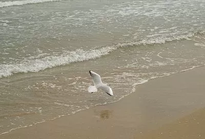 До +13 градусов успело прогреться Черное море на курортах Краснодарского края до похолодания