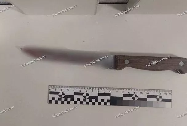 Жительница Анапы убила мужа ударом ножа в грудь во время празднования 8 Марта