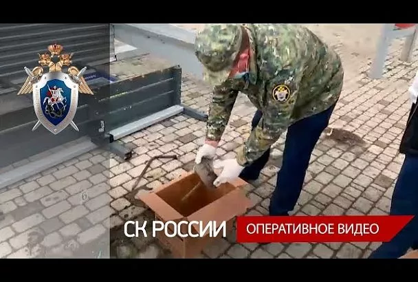 Виновен в халатности: вынесен еще один приговор после смерти женщины под упавшей остановкой