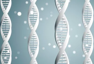 Ученые создали метод определения происхождения человека по ДНК