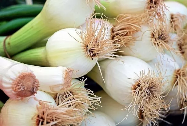 Бережет от «ударов» сердце: чем полезен молодой чеснок