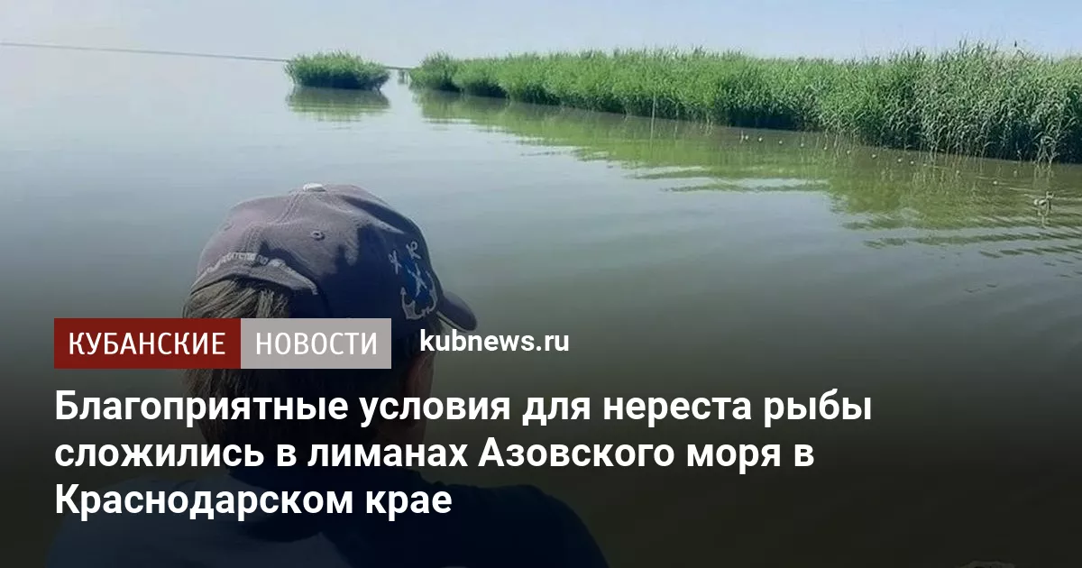 Благоприятные условия для нереста рыбы сложились в лиманах Азовского моря в Краснодарском крае