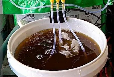 Компостный «чай»: натуральное удобрение для богатого урожая и суперсила для растений