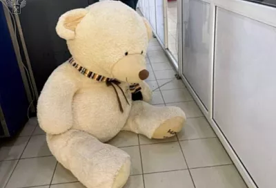 Контрабанду сигарет обнаружили в плюшевом медведе таможенники Сочи