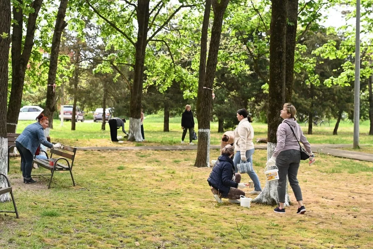 Мэр Краснодара Наумов позвал горожан на субботник